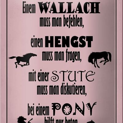 Blechschild Spruch 12x18cm Pferde Wallah Hengst Pony Stute Dekoration