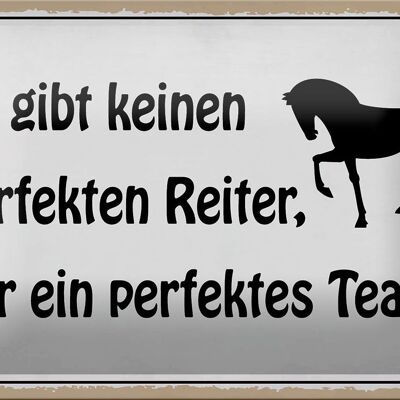 Blechschild Spruch 18x12cm es gibt keinen perfekten Reiter Dekoration