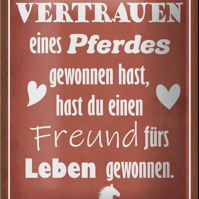 Blechschild Spruch 12x18cm Vertrauen eines Pferdes Freund Dekoration