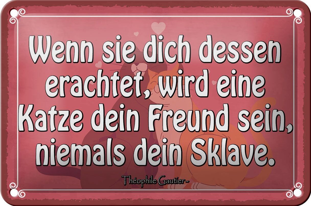 Letrero de chapa que dice 18x12cm gato tu amigo nunca esclavo decoración