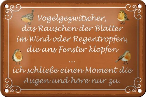 Blechschild Spruch 18x12cm Vogelgezwitscher Vogel Dekoration