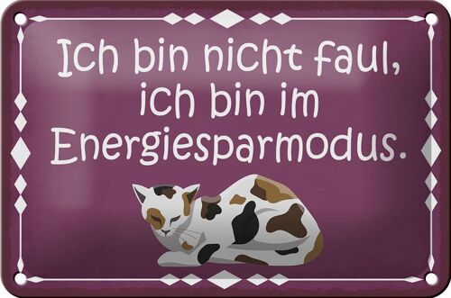 Blechschild Spruch 18x12cm Katze ich bin nicht faul bin im Dekoration