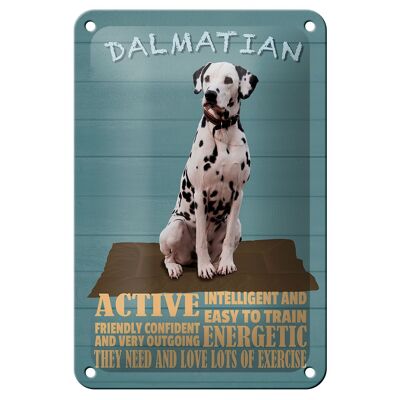 Blechschild Spruch 12x18cm Dalmatian Hund active and easy Dekoration