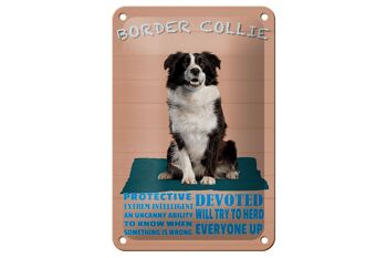 Panneau en étain disant 12x18cm, décoration de protection pour chien Border Collie 1