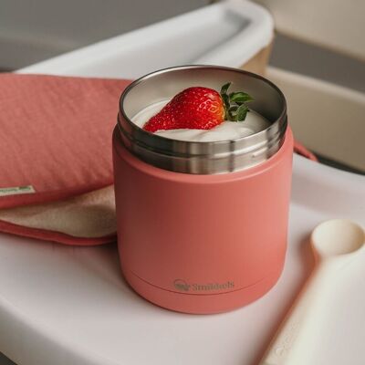 Thermos lunch box