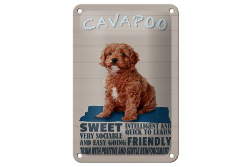 Blechschild Spruch 12x18cm Cavapoo Hund sweet friendly Dekoration