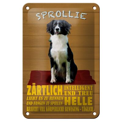 Targa in metallo con scritta 12x18 cm Sprollie cane, decorazione tenera e leale