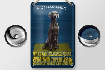Panneau en étain disant alerte chien Weimaraner, 12x18cm, décoration rapide 2