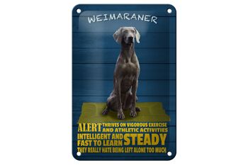 Panneau en étain disant alerte chien Braque de Weimar 12x18cm et décoration stable 1