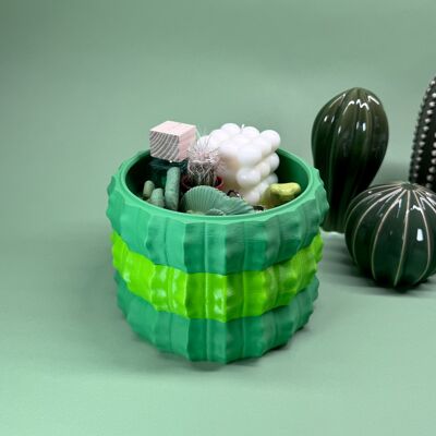 Cuenco decorativo apilable con diseño de cactus - para joyas y accesorios