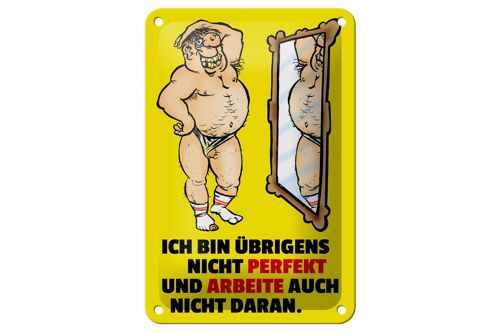 Blechschild Spruch 12x18cm ch bin übrigens nicht perfekt Dekoration