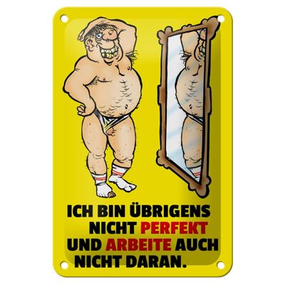 Blechschild Spruch 12x18cm ch bin übrigens nicht perfekt Dekoration