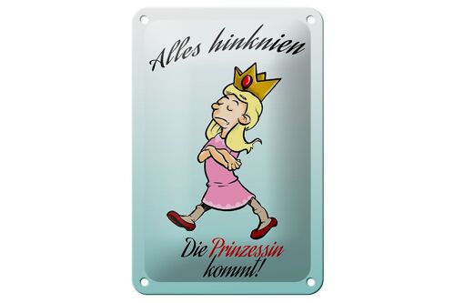 Blechschild Spruch 12x18cm Alles hinknien Prinzessin kommt Dekoration