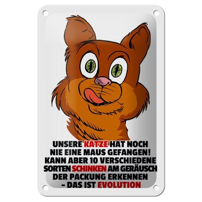 Tin sign saying 12x18cm cat has never caught a mouse decoration