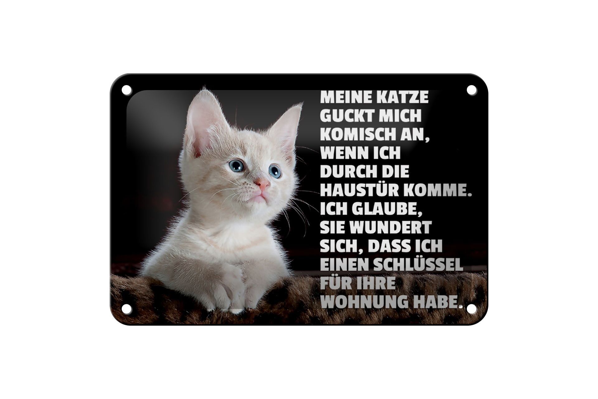 Targa in metallo con scritta 18x12 cm Gatto mi guarda in modo strano decorazione