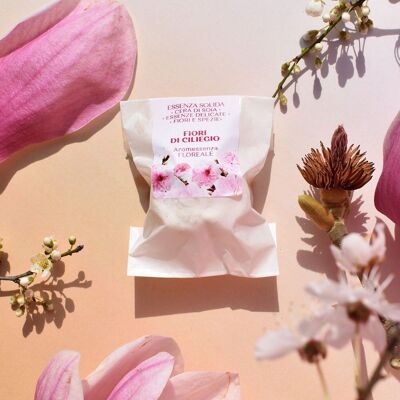 Solid Rose Scented Essence CHERRY BLOSSOMS [LIMITED EDITION]