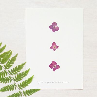 Carte de fête des mères - Hortensia • A6