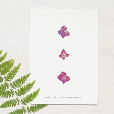 Mother's Day card - Hydrangea • A6