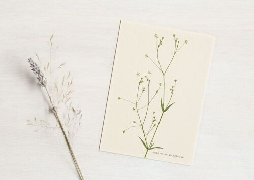 Carte de voeux florale - unique et précieuse • A6 - papeterie fleurie