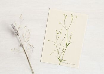 Carte de voeux florale - unique et précieuse • A6 1