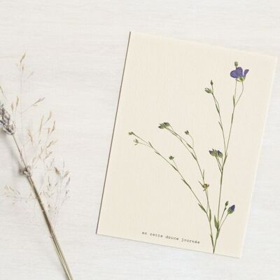 Floral greeting card - on this sweet day • A6