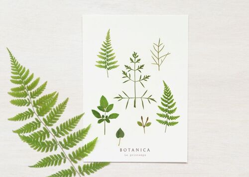 Carte végétale "Printemps" • collection Botanica • A6 (enveloppe incluse)