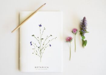 Lot de 10 carnets • collection Botanica • A5 • tarif dégressif 5