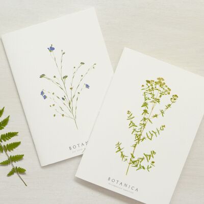Papeterie fleurie : Lot de 11 carnets • collection Botanica • A5 • tarif dégressif