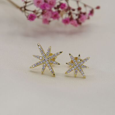 Boucles d'oreilles clous Stella del Nord