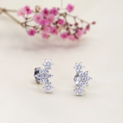 Boucles d'oreilles clous Fiorella en argent 925