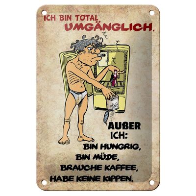 Blechschild Spruch 12x18cm bin total umgänglich außer Dekoration