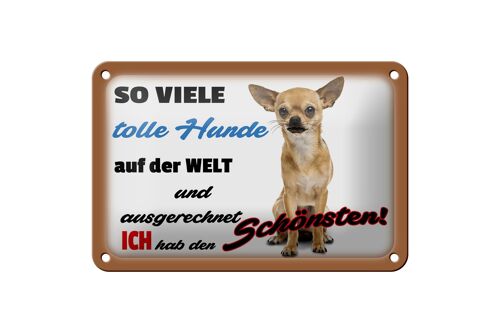 Blechschild Spruch 18x12cm ich hab den schönsten Hund Dekoration