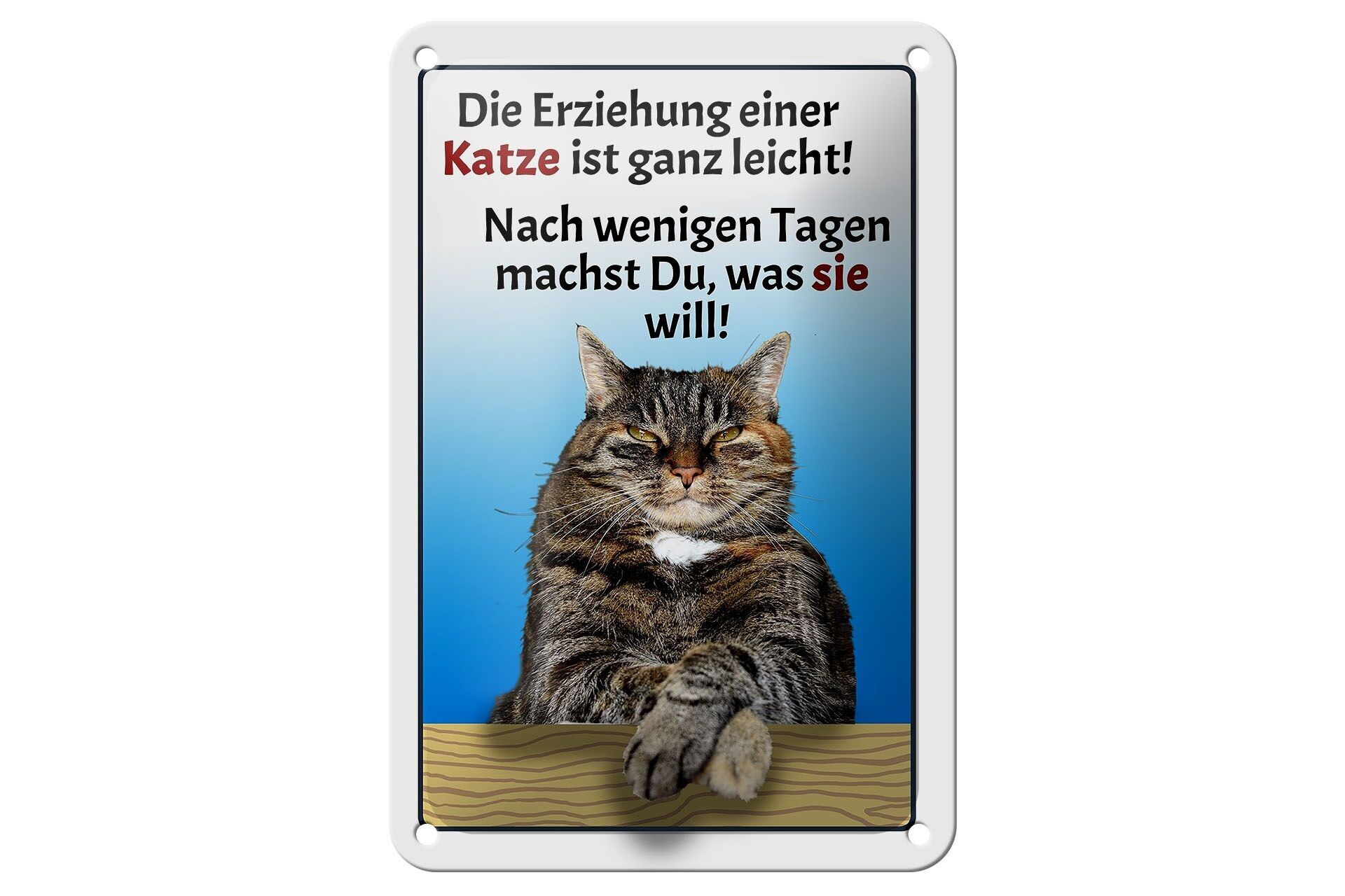 Tin sign saying 12x18cm the training of a cat easy decoration