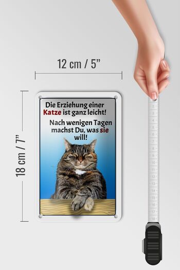 Plaque en tôle 12x18cm élevant un chat, décoration facile 5