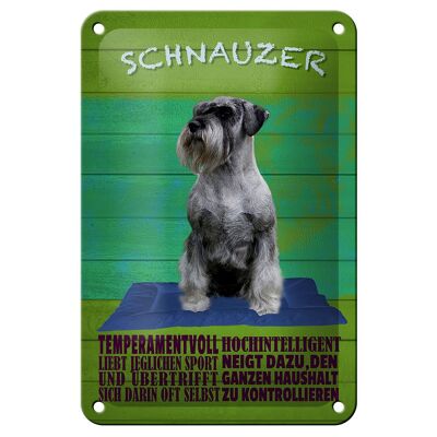 Targa in metallo con scritta "Schnauzer Dog Spirited" 12x18 cm