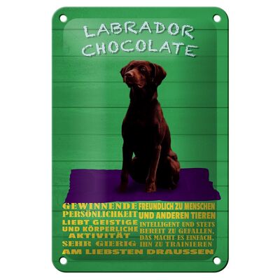 Blechschild Spruch 12x18cm Labrador Chocolate Hund Dekoration