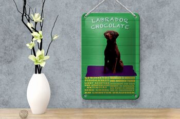 Panneau en étain disant 12x18cm, décoration de chien en chocolat du Labrador 4