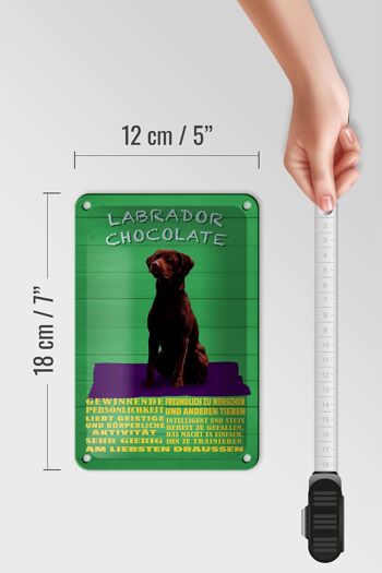 Panneau en étain disant 12x18cm, décoration de chien en chocolat du Labrador 5