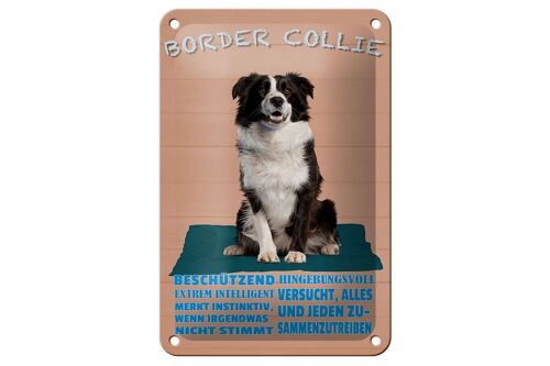 Blechschild Spruch 12x18cm Border Collie Hund intelligent Dekoration