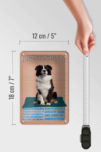 Panneau en étain disant 12x18cm, décoration intelligente pour chien Border Collie 5