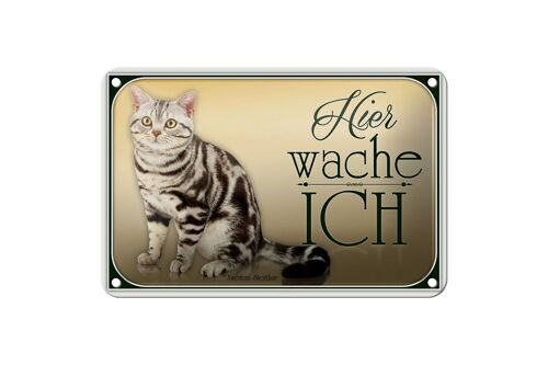 Blechschild Katze 18x12cm American Shorthair hier wache Dekoration