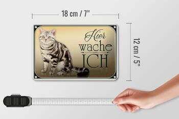Plaque en tôle chat 18x12cm, American Shorthair, ici éveillé, décoration 5