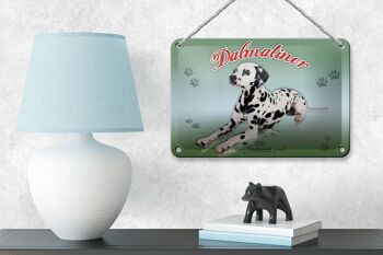 Plaque en tôle chien 18x12cm Dalmatien 1769 décoration France 4