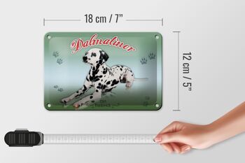 Plaque en tôle chien 18x12cm Dalmatien 1769 décoration France 5