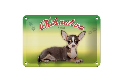 Blechschild Hund 18x12cm Chihuahua Mexiko Wanddeko Dekoration