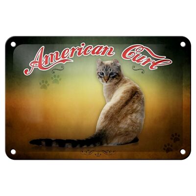 Targa in metallo gatto 18x12 cm decorazione murale American Curl