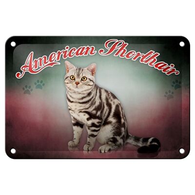 Cartel de chapa gato 18x12cm decoración de pared American Shorthair