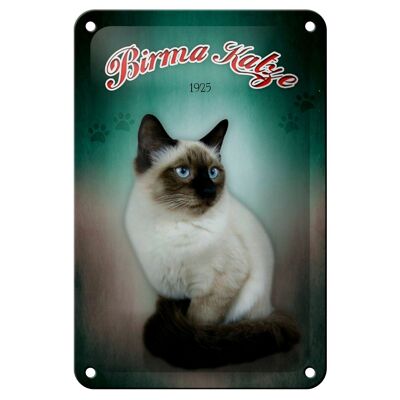 Blechschild Katze 12x18cm Birma Katze 1925 Wanddeko Dekoration