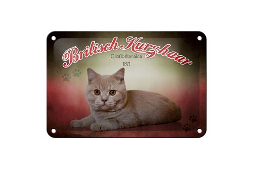 Blechschild Katze 18x12cm British Kurzhaar Großbritannien Dekoration