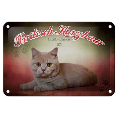 Blechschild Katze 18x12cm British Kurzhaar Großbritannien Dekoration